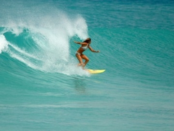 Surfing Barbados 
