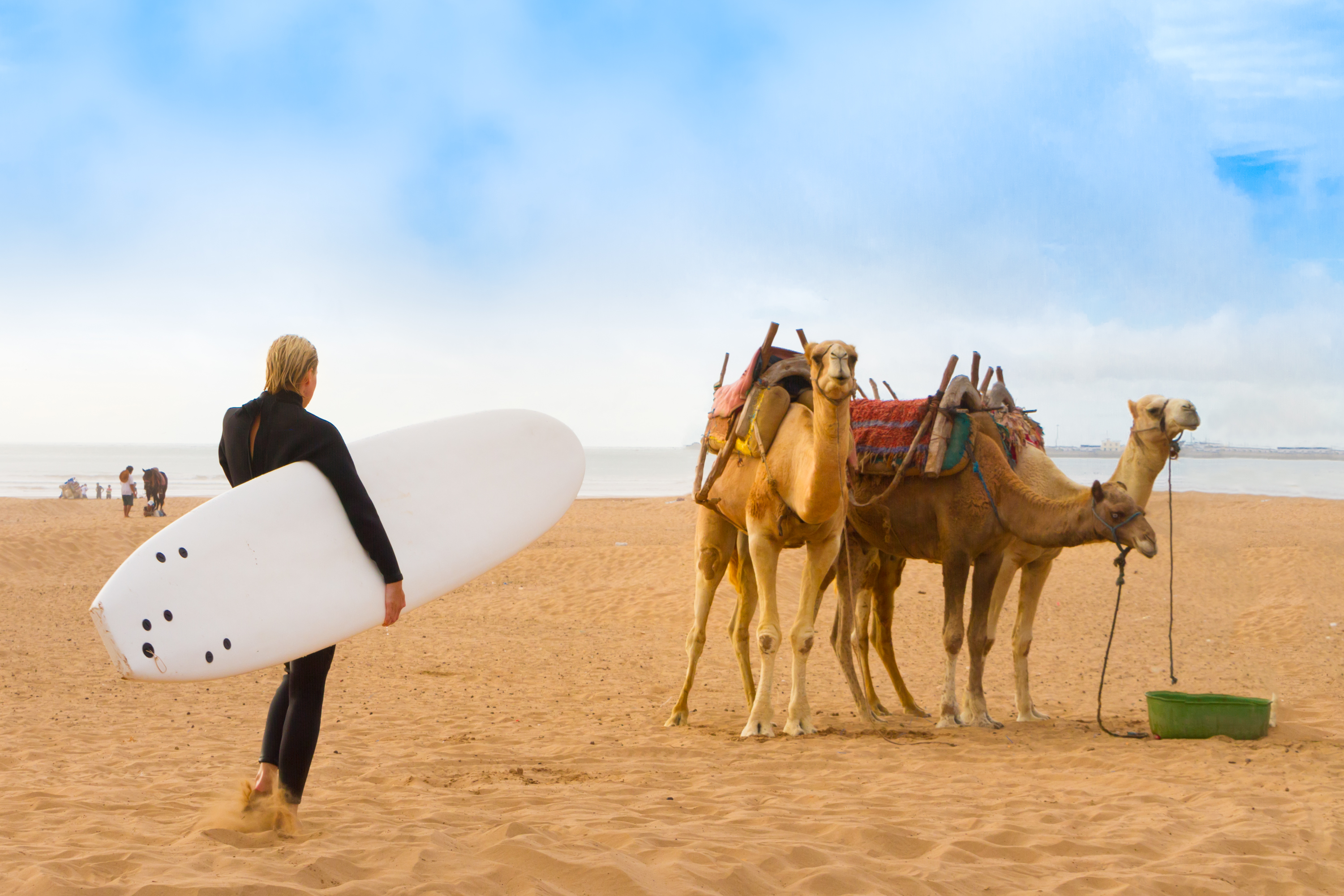 Top 5 Beginner Surf Beaches in Morocco
